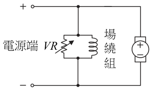 選項 D