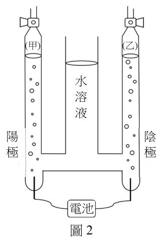 題組圖片