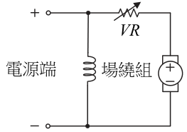 選項 C