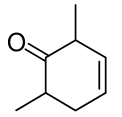 選項 B