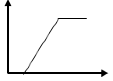 選項 C