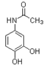 選項 B