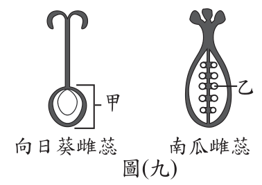 題目圖片