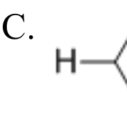 選項 C