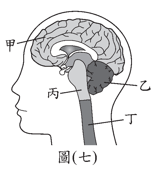 題目圖片