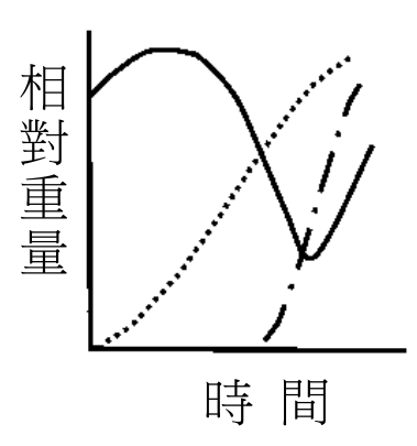 選項 C