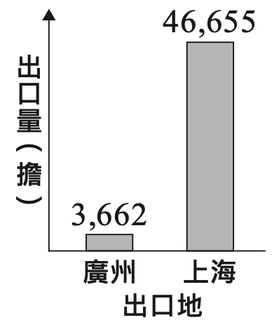 選項 D
