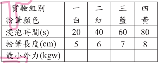 選項 B