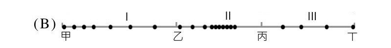 選項 B