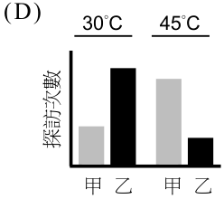 選項 D