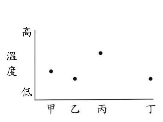 選項 D