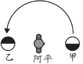 選項 D