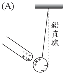 選項 A