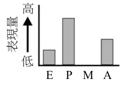 選項 D