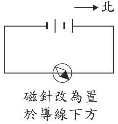 選項 C