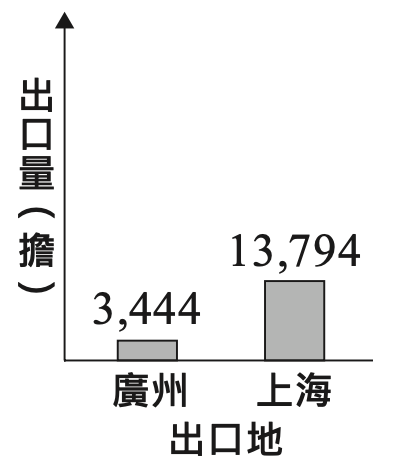 選項 C