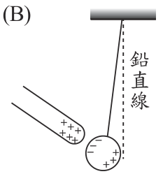 選項 B