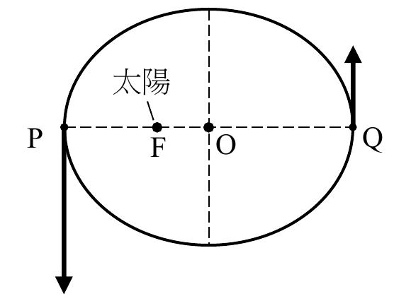 選項 B