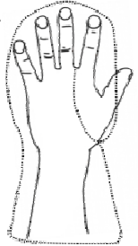 選項 C