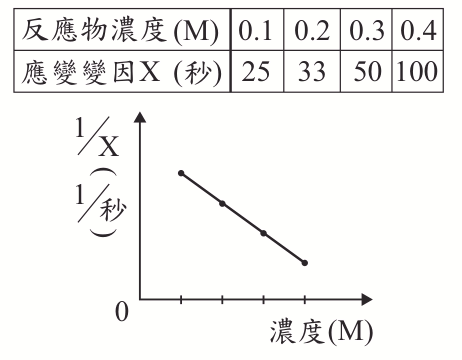 選項 B