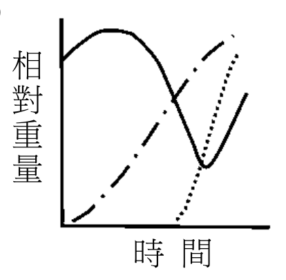 選項 D