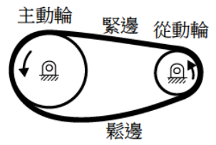 選項 C