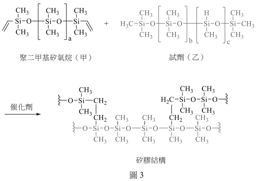題組圖片