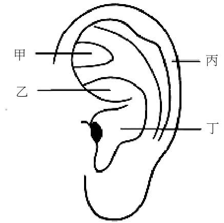 題目圖片
