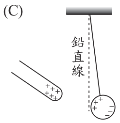 選項 C