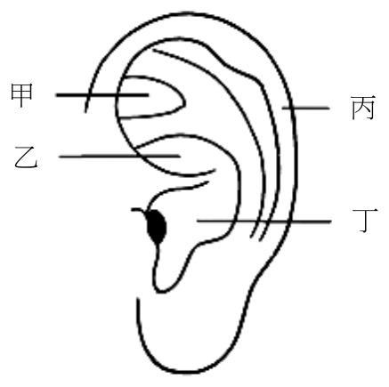 題目圖片