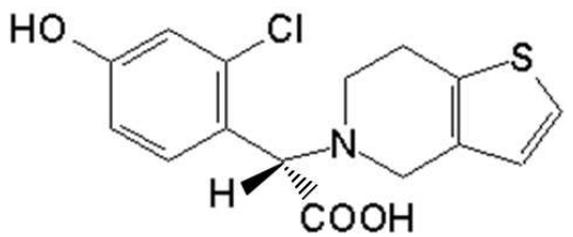 選項 B