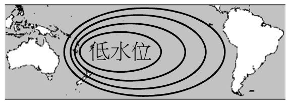 選項 D