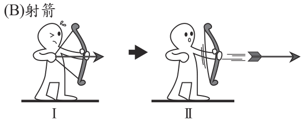 選項 B
