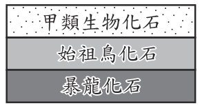 選項 A
