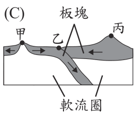 選項 C
