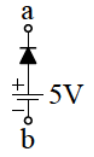 選項 A
