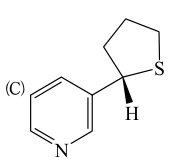 選項 B