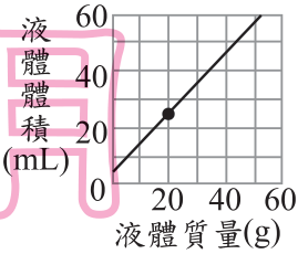 選項 C