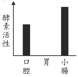 選項 B