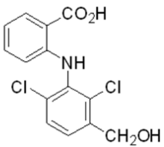 選項 B