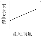 選項 C