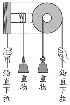 選項 D