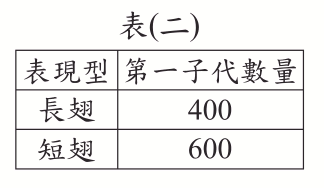 題目圖片