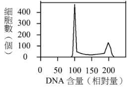 選項 A