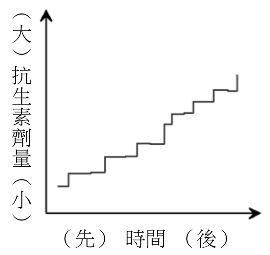 選項 A