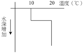 選項 B