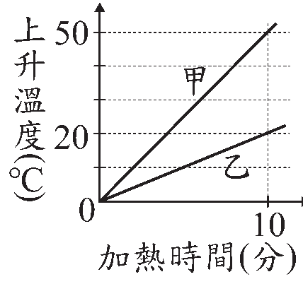 選項 C