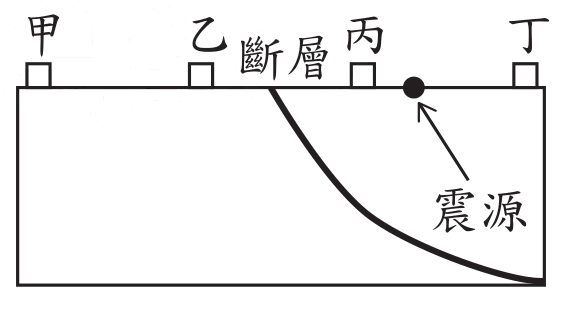 選項 D