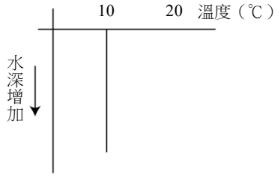 選項 C