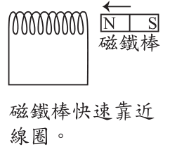 選項 A